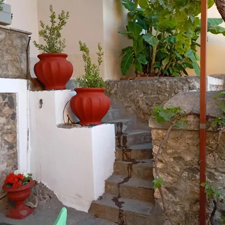 Apartment Secret Garden